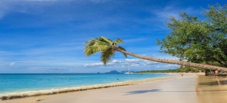 La Martinique : une destination idéale pour des vacances entre amis