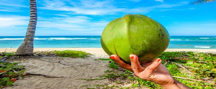Les Seychelles, une destination qui fait rêver de plus en plus de voyageurs