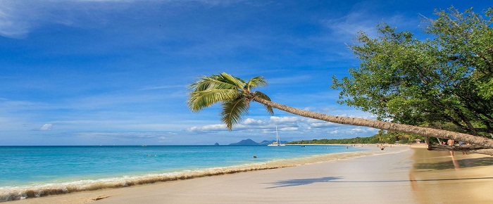 La Martinique : une destination idéale pour des vacances entre amis