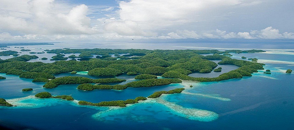 Visiter un paradis à l'ouest du Pacifique : les îles Palaos