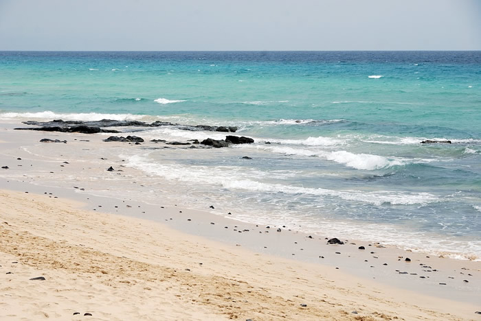 Pourquoi visiter la Tenerife durant votre séjour dans les Canaries ?