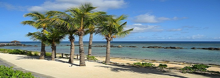 Quand partir à l'île Maurice ? Découvrez nos conseils