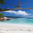 Comment préparer son voyage à La Réunion ?