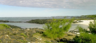 Zoom sur l'ile Maurice, destination phare pour la fin d'année