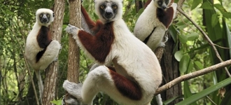 Un voyage à Madagascar sans stress et des moments de détente.