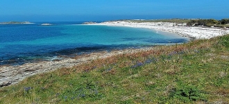 Îles des Glénan : voyage découverte en Bretagne