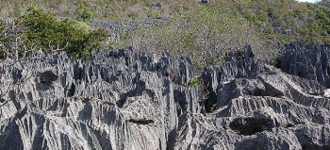 Madagascar, une destination parfaite pour faire de l’expérience inédite