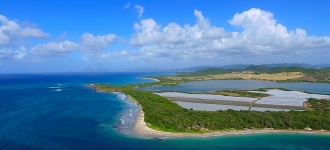 Visiter la Martinique : les meilleures activités à faire !