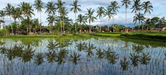 Ubud, Canggu ou Sanur : où poser ses valises pour une installation durable à Bali